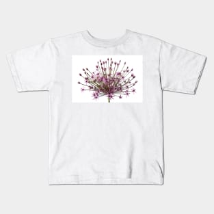 Allium  &#39;Spider&#39;  Ornamental onion Kids T-Shirt